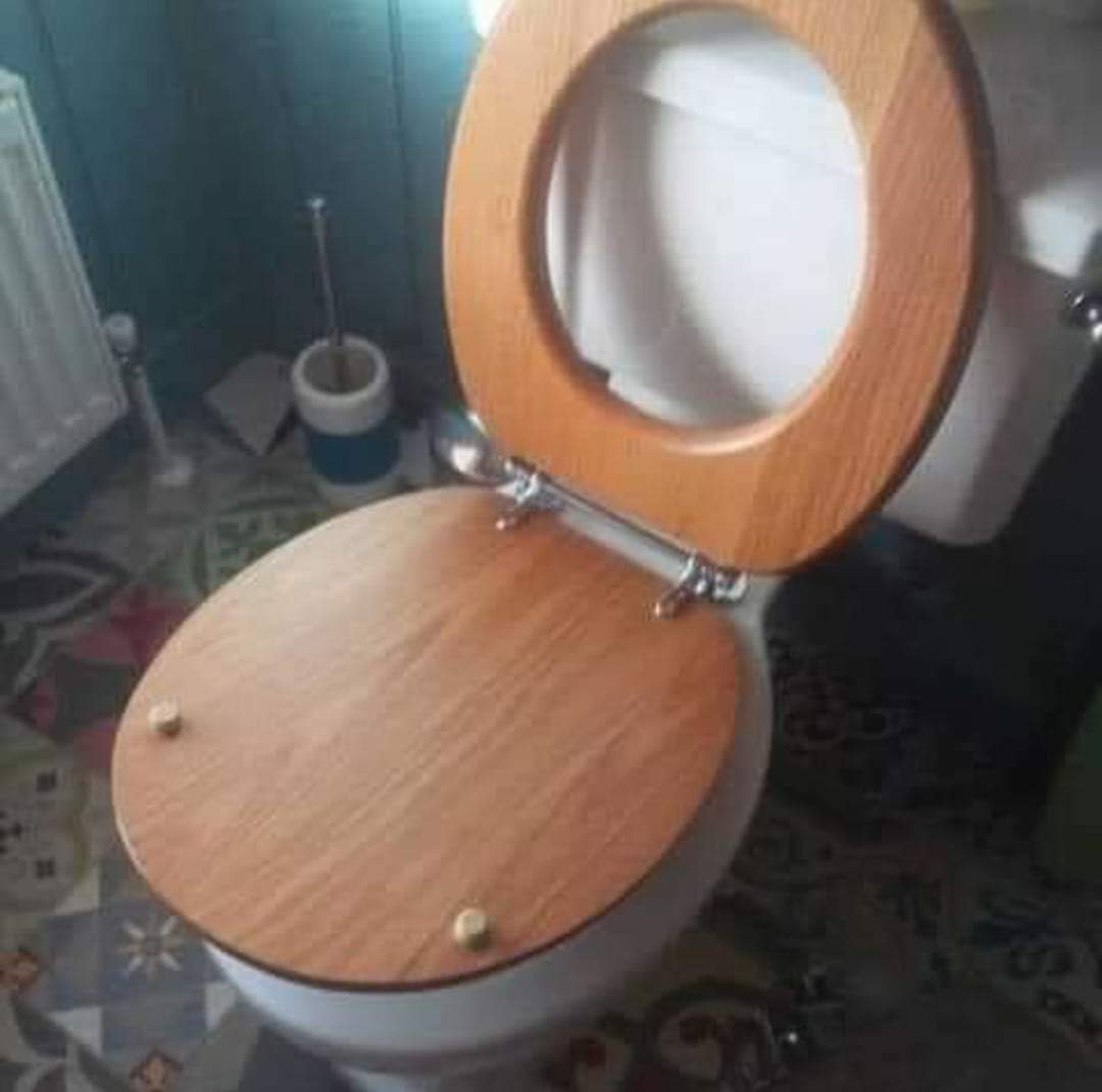 If Build Back Better was a toilet seat...