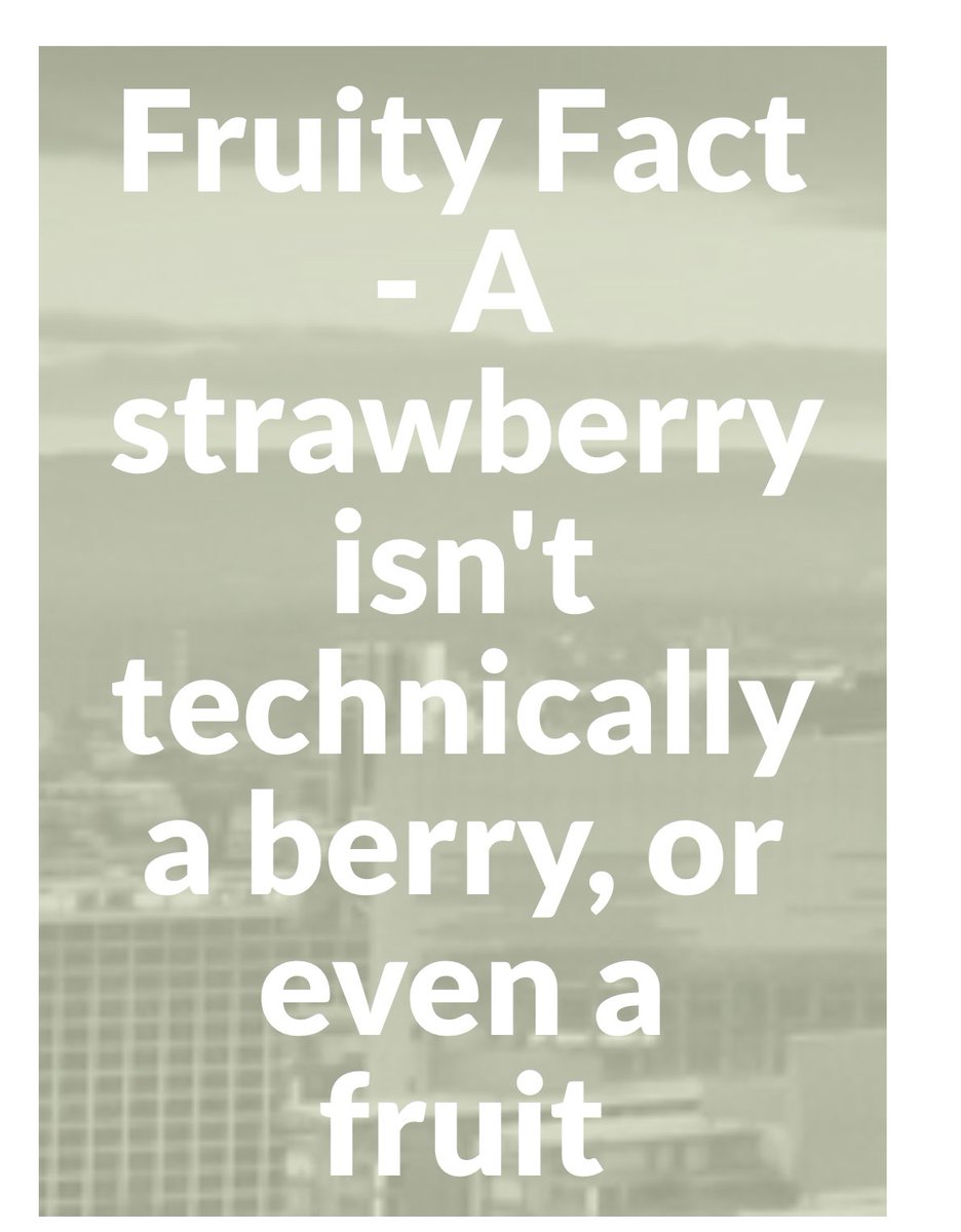 My 10 year old daughter just claimed that a strawberry isn’t technically a fruit and now I’ve been googling for half an hour to get to the bottom of this but I’m more confused than ever