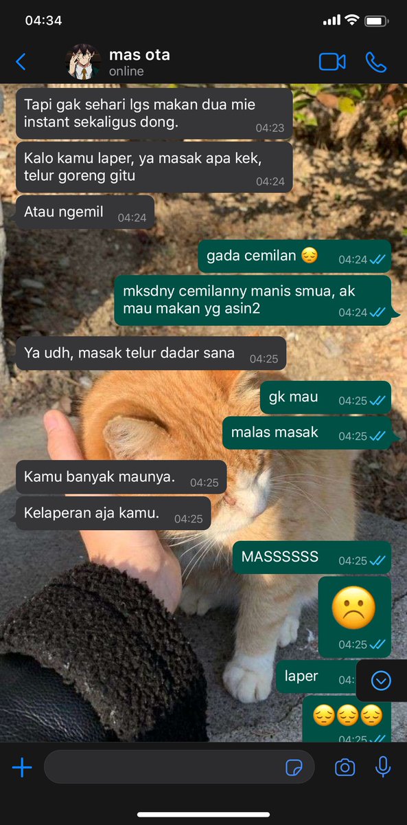 damszlette's tweet photo. #OrterWirth ー ooc 

dedek wirth laper tengah malam https://t.co/T6PxtUH6Uk