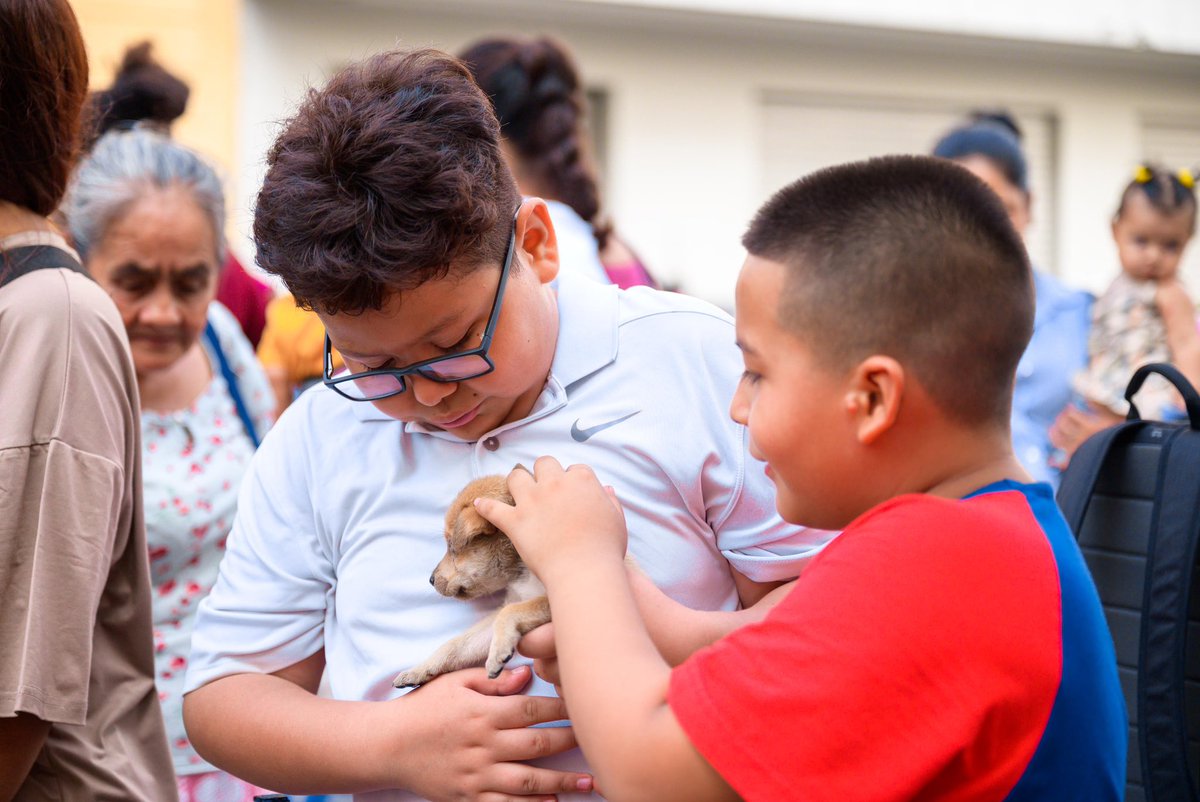 ¡Una jornada de adopción llena de amor y nuevos comienzos! 🐾💕 Gracias a todos los que han dado un nuevo hogar a estos peluditos. ¡Su generosidad y amor han hecho posible que estos perritos encuentren un lugar donde ser amados y cuidados! 🐶🏡 📍Centro Histórico