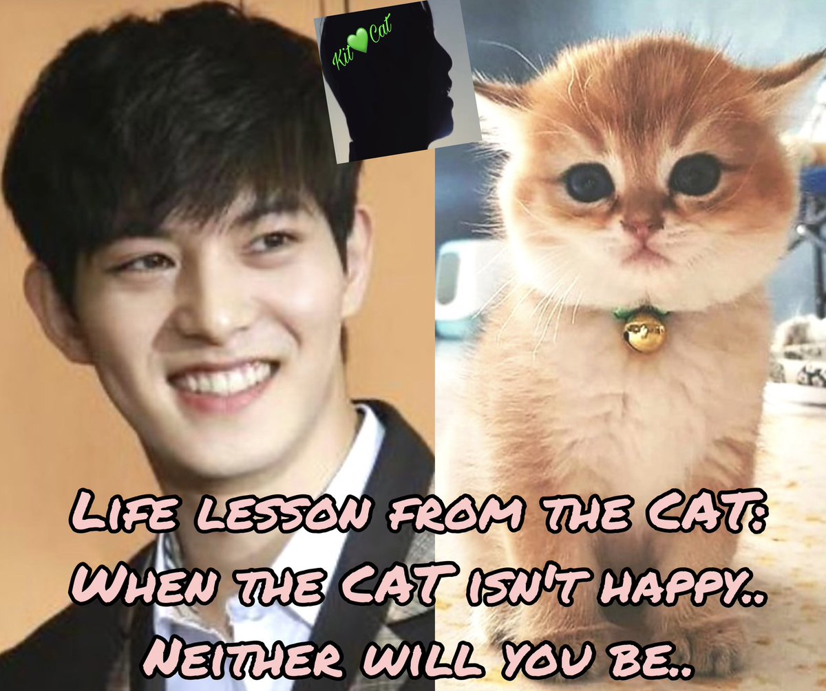 @cnbluegt 1224) Life lesson..
💚💚💚 
💚@cnbluegt💚
#cnbluegt
#LeeJongHyun 
#comebacktousljh
#OneLeeJongHyun
#NobodyButYouLJH
#protectleejonghyun
#StandbyLeeJongHyun
#이종현 
#イ·ジョンヒョン
#無言で大好きなJHの写真をあげてみた