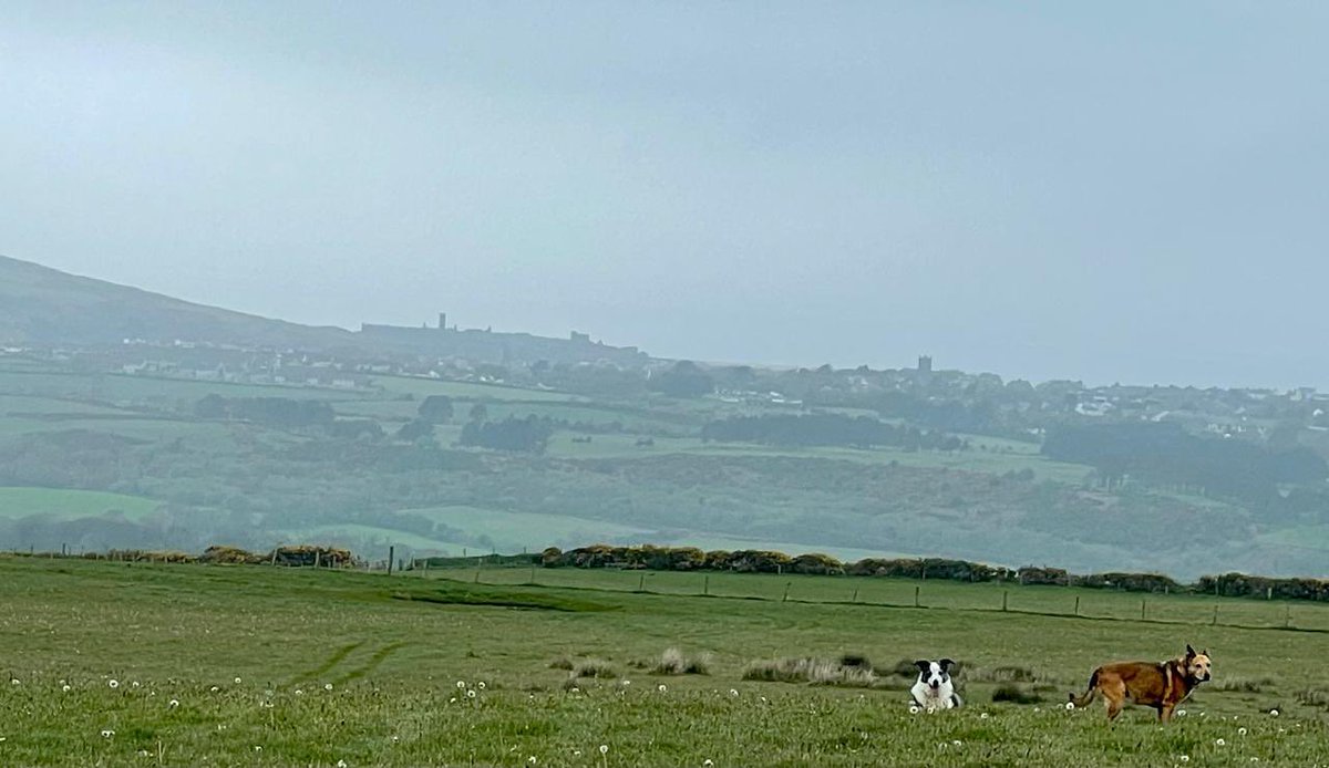 High up on the farm looking down at Peel - still beautiful even on rainy days like this #scenicviews #hillfarm #Peel #lovemyfarm #biosphereIOM #isleofman