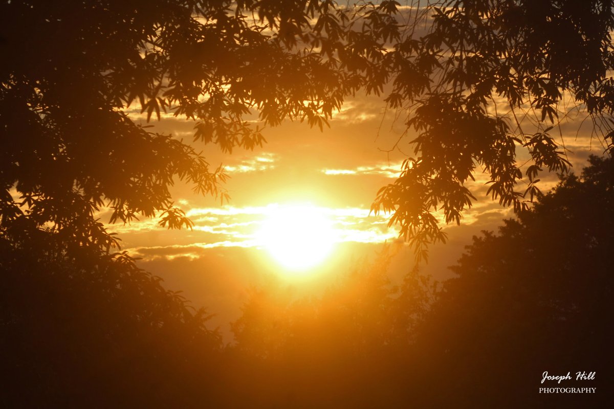 Sunset☀️☁️🌳 
#May2024
Photo By: Joseph Hill🙂📸☀️

#sunset #bright #Cloudy #sky #evening #sunlight #trees #nature #spring #beautiful #colorful #awesome #peaceful #daytime #sunsetphotography #NaturePhotography #SouthernPinesNC #May