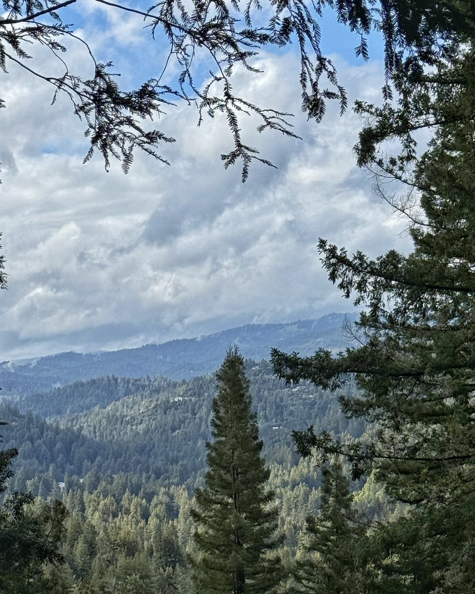 After almost 2” of rain, the sun is coming out in the mountains above Ben Lomond