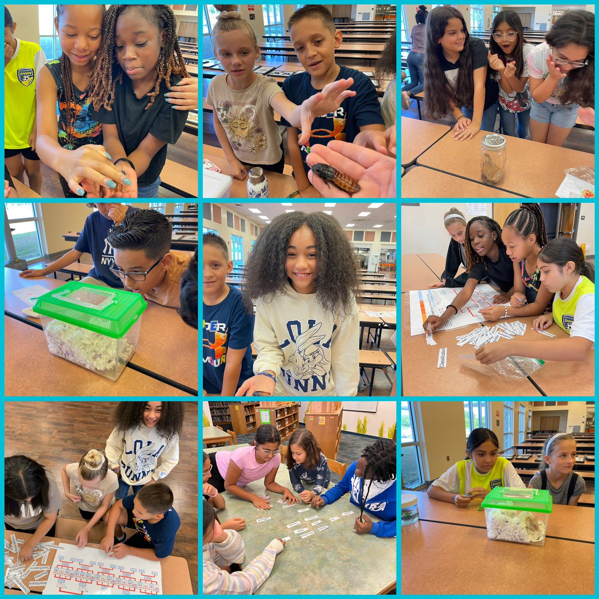 Harns Marsh Elem. (@harnsmarshelem) on Twitter photo Students and teachers showed up at HME today for Science Saturday, where they learned about science concepts with hands-on activities!
<a href="/LeeSchools/">School District of Lee County</a> Students and teachers showed up at HME today for Science Saturday, where they learned about science concepts with hands-on activities!
<a href="/LeeSchools/">School District of Lee County</a>