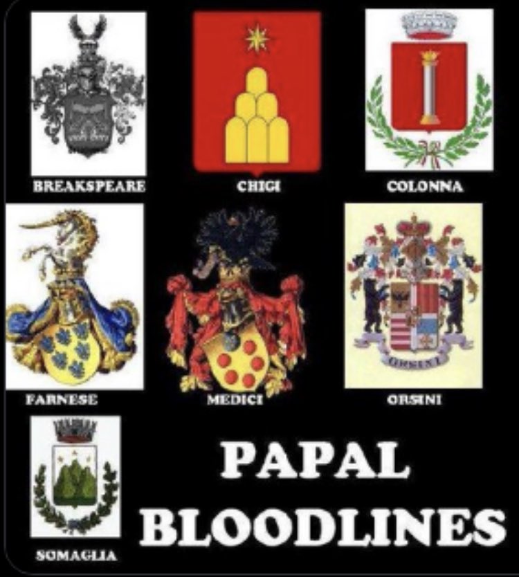 Homework for newly Awakened Patriots/Anons Identify and describe the history of the Papal Bloodline families, the Italian Nobility(real mafia), and the Grey and Black Popes. Utilize the image below to get started.