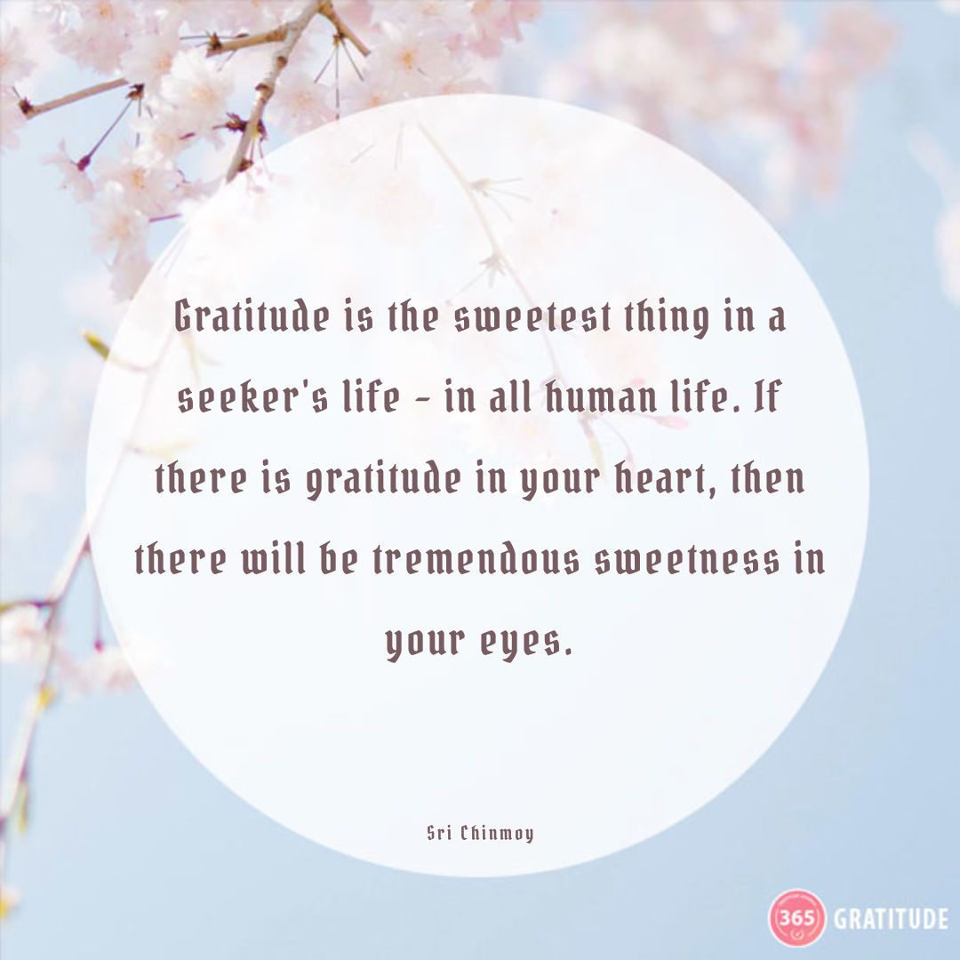 With a heart full of gratitude, the world looks sweeter through your eyes. 🌍💖 #gratitudejournal