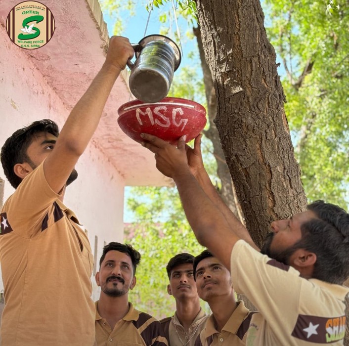 To Save Birds, water pots and bird feeders are placed at various places like, rooftop, pillars and parks across cities and states under #BirdsNurturing drive by Dera Sacha Sauda disciples under the guidance of Saint Ram Rahim Ji.