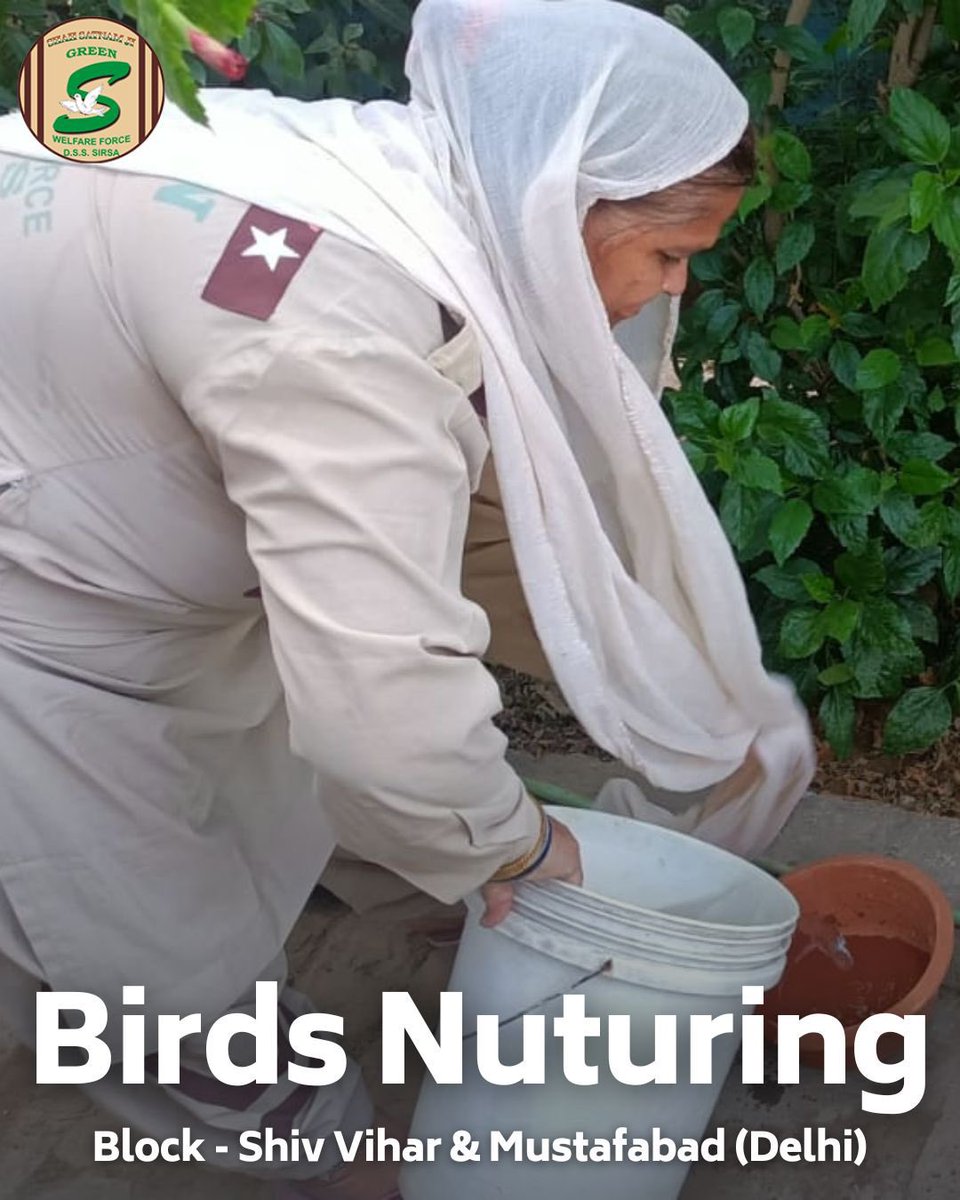 Create a safe and enriching environment for birds to thrive in, nuture the birds by feeding them, following the instructions of Saint Ram Rahim Ji volunteers of Dera Sacha Sauda feed them and Save Birds 
#BirdsNurturing