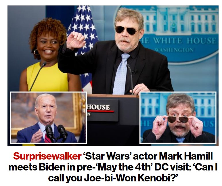 God Mark Hamill is an epic loser of outstanding proportions. The only thing Biden has in common with Obi-wan is grey hair.