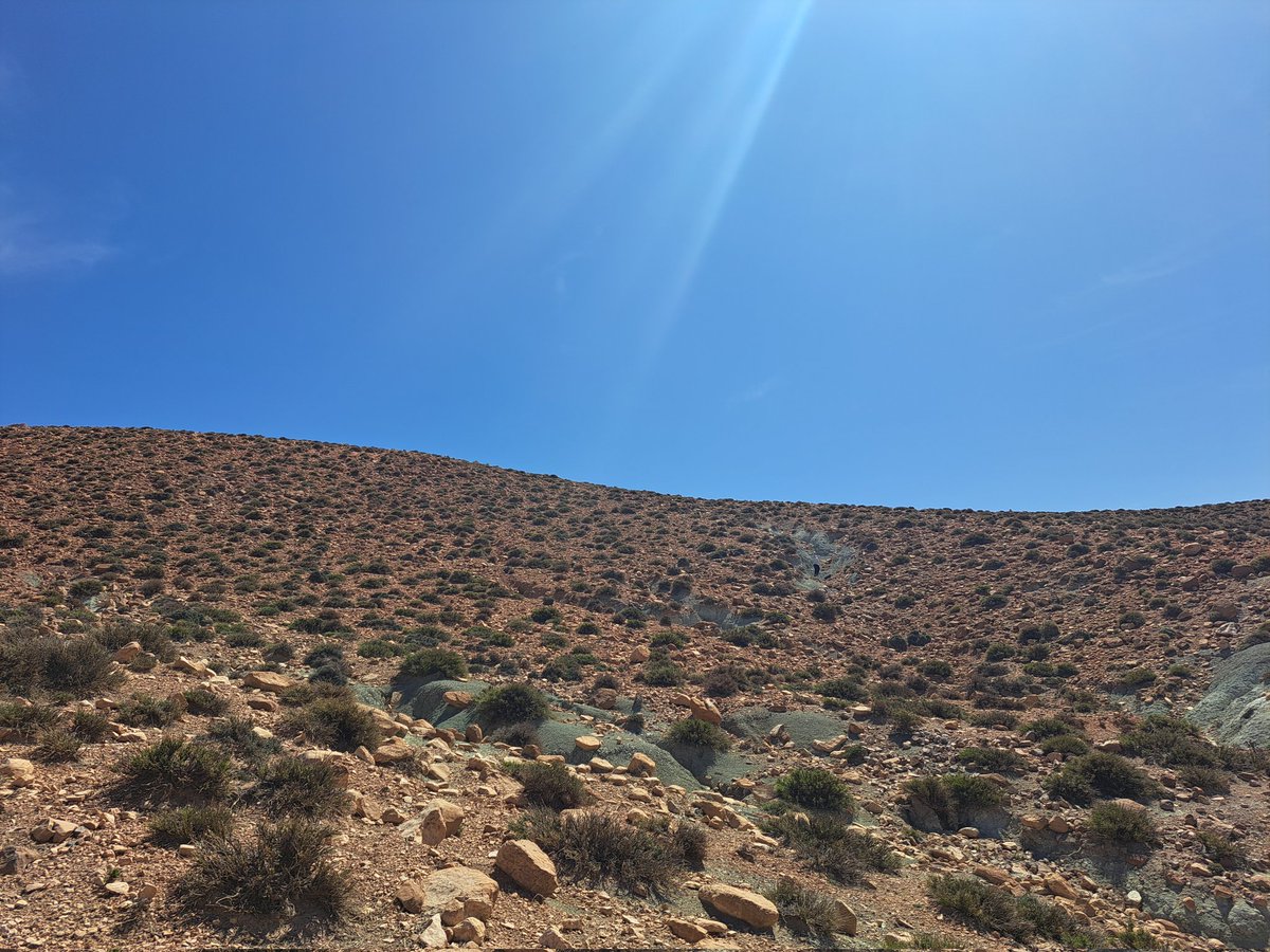 Prospecting for microverts yesterday, with some success. Can you spot the palaeontologists?