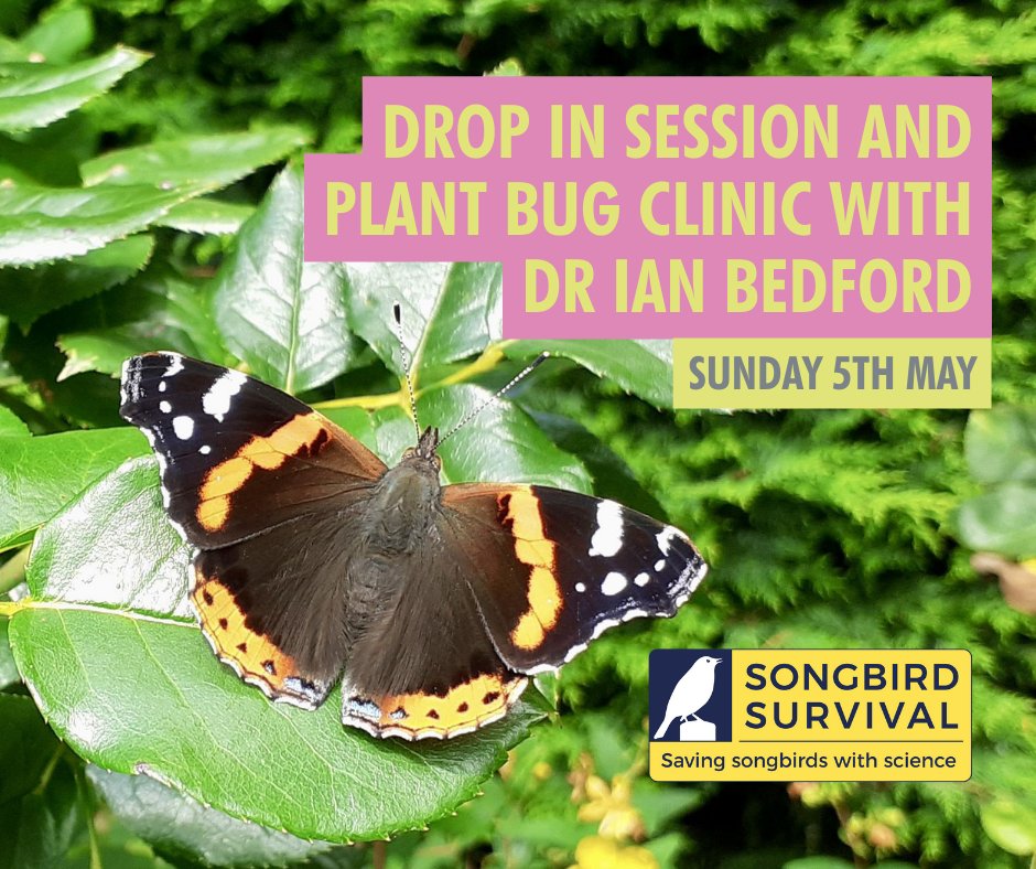 We’re pleased to have @SongbirdSBS joining us today: 🐦 Plant and bird ID sheets to complete  🐛 Drop in Plant Bug Clinic and Q&A with Dr Ian Bedford between 10am and 3pm. Simply show up today and purchase your ticket for the gardens to get involved!