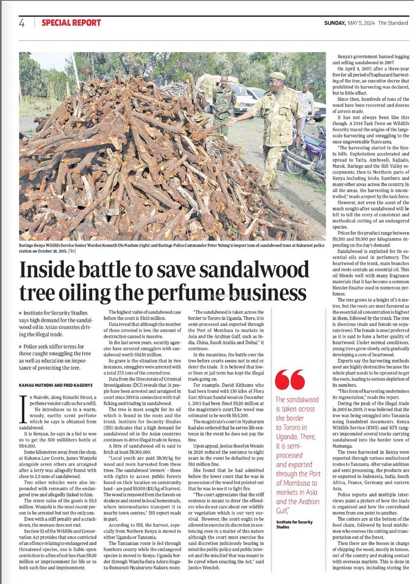 Kenya's #IllicitTrade dilemma: How do you save the sandalwood danger when the real cartels hold key positions in the @NAssemblyKE and elsewhere in Government? @KeForestService @Environment_Ke @KWSKenya @NemaKenya #SaveSandalwwood