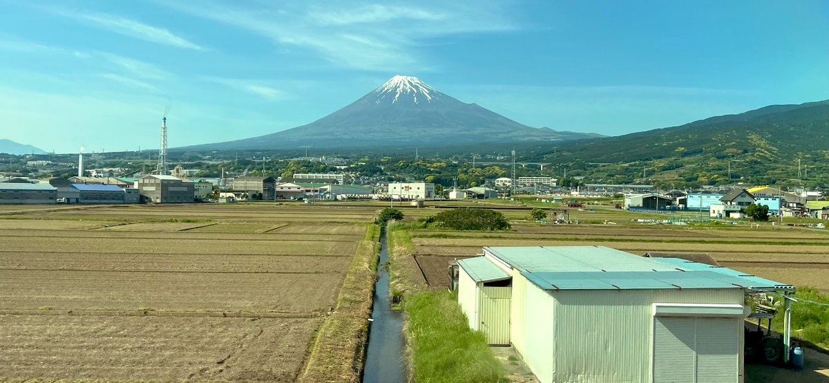 Antistar 🦊 tweet media