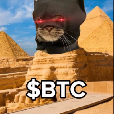 $BTC - BATCAT 🦇 🐱 tweet media