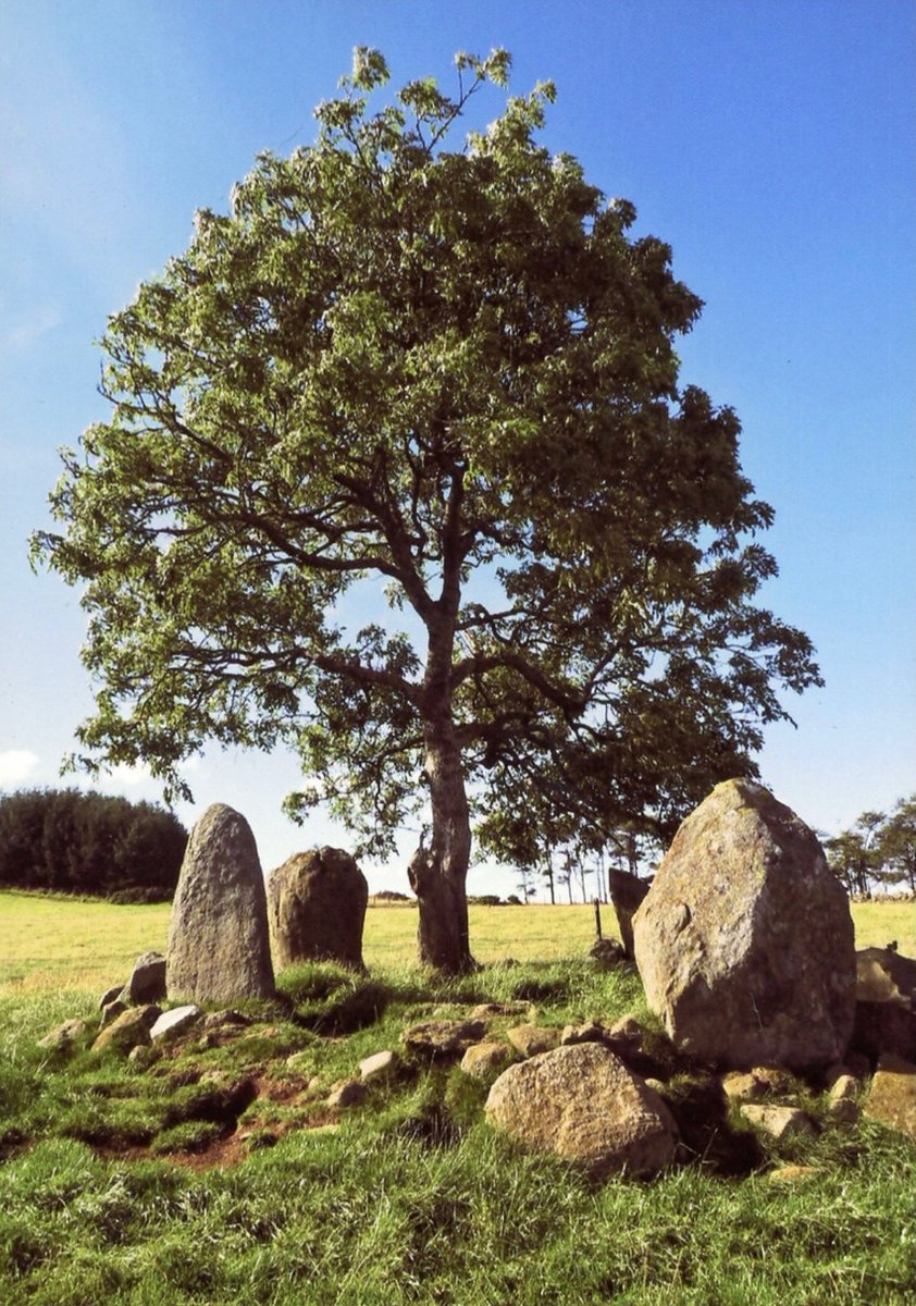 So many wonderful photos in this latest album by the late Bruce Adams. Most have labels, this one doesn’t - can you help identify this stone circle near Aberdeen? #StandingStoneSunday More 1/