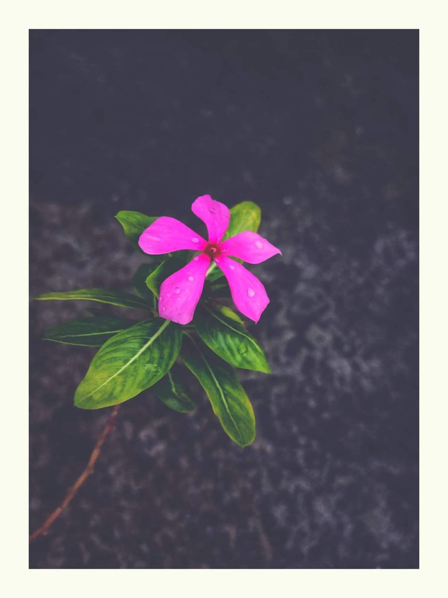 MayukhRoy7's tweet photo. https://t.co/qkHdVFwGzH