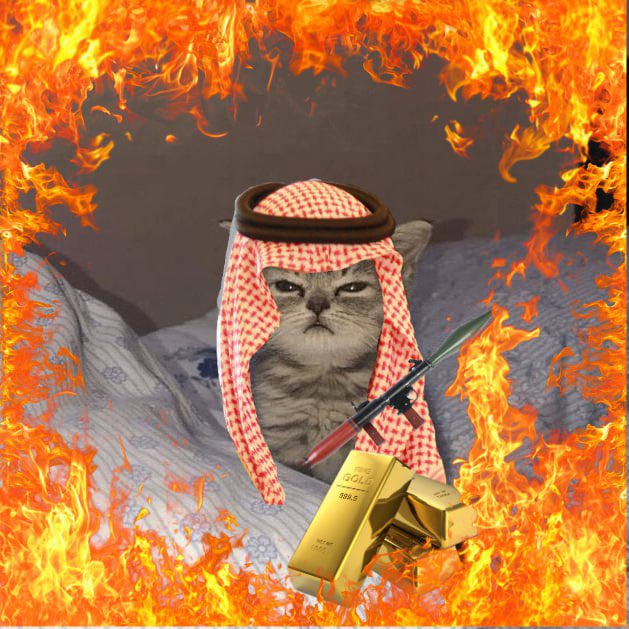 drizzyspl's tweet photo. @notthreadguy Gn $CHIBI https://t.co/umjLp69z0F