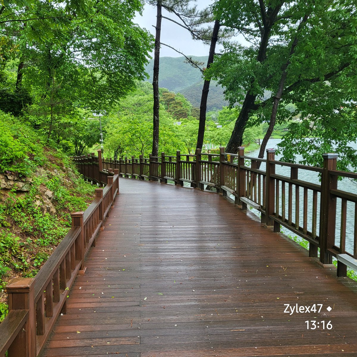 eBird Checklist - 5 May 2024 - 동구리저수지(Donggu-ri reservoir), Hwasun - 13 species #birdwatching
ebird.org/checklist/S172…
First media observations of the ring-necked pheasant《Phasianus colchicus》!
below image is a photo near the reservoir today