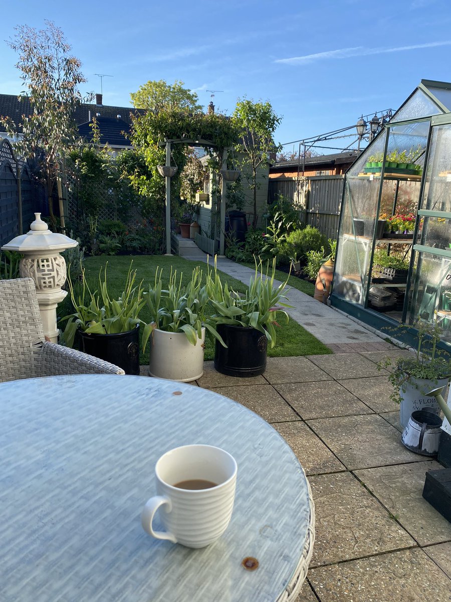 Morning all, it’s a still sunny start to the day and at last I’m having coffee in the garden, first time this year. Have a lovely Sunday everyone #GardeningX #GardeningTwitter