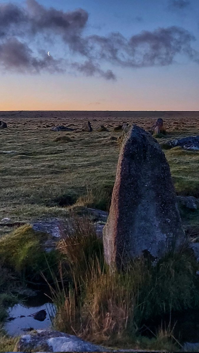 Stannon stone circle with a waning crescent moon 🌙  #StandingStoneSunday #BodminMoor #Cornwall