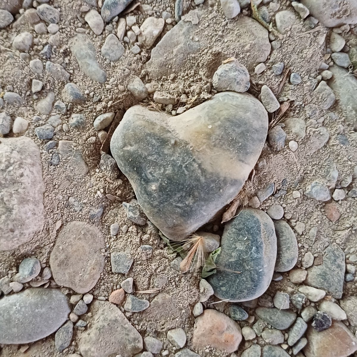 irlandese67's tweet photo. Così, dal niente❤️
#sochecisei
#buongiornocosì
#buonadomenica
#sempreconme
#tusai https://t.co/HIiFCuplhj
