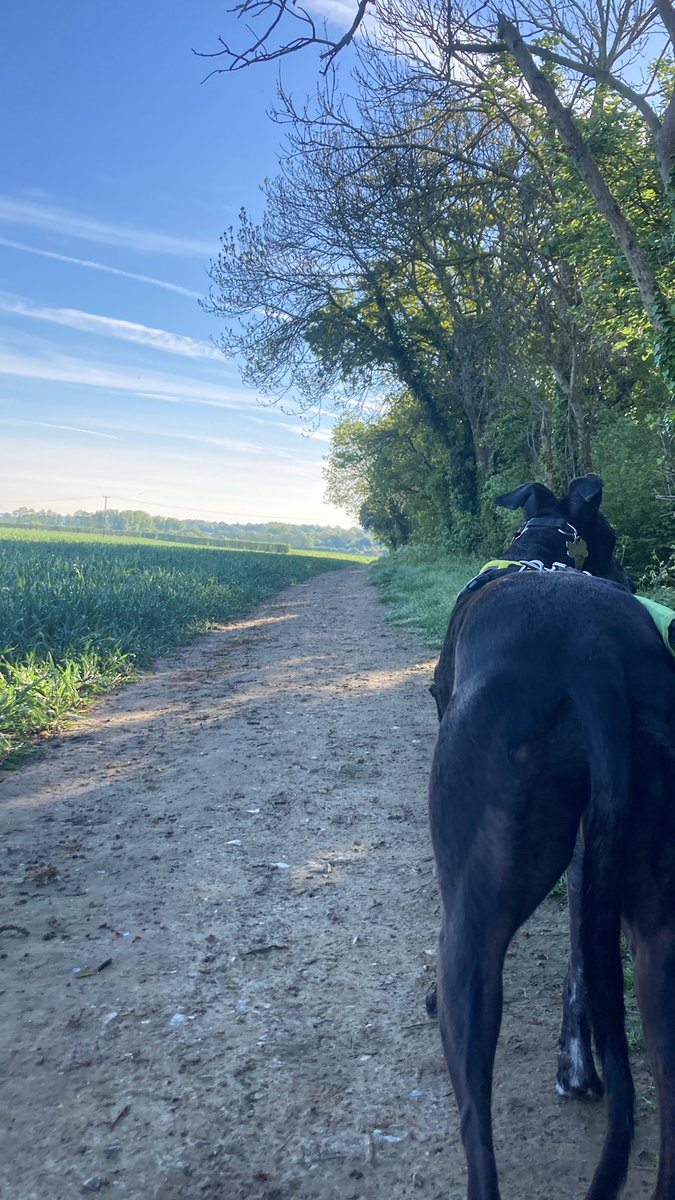 Okauwune tweet media