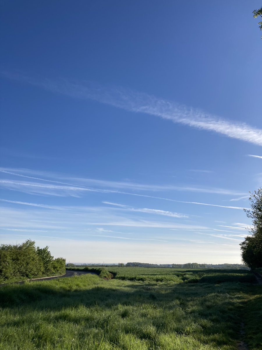 Okauwune tweet media