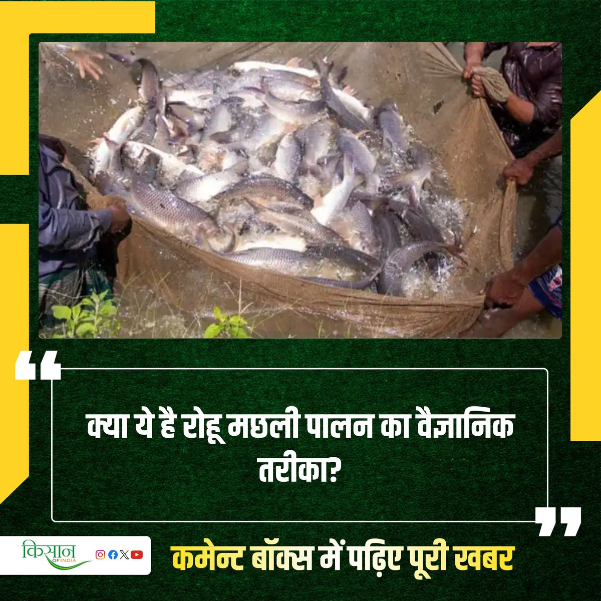 रोहू मछली की क्या हैं विशेषताएं और कैसे करें इसका पालन?

#FishFarming #Agriculture #FishBusiness #Fishing #Kisa #RohuFish #MachhaliPalan