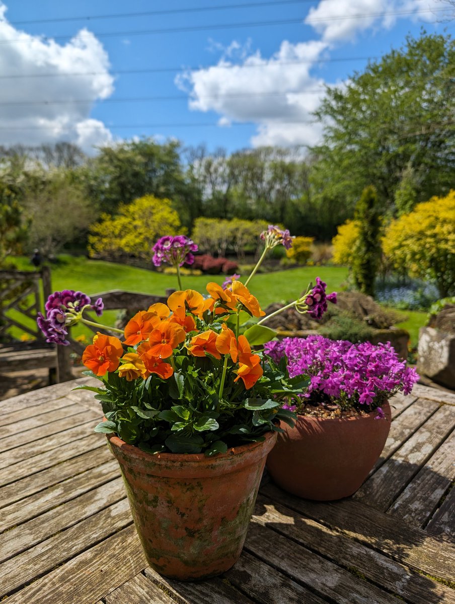 A Saturday spent visiting the wonderful @JohnsGardenAsh and the prospect of the tulip festival at #MortonHallGardens today. A perfect way to spend a weekend 🌷 Happy Sunday