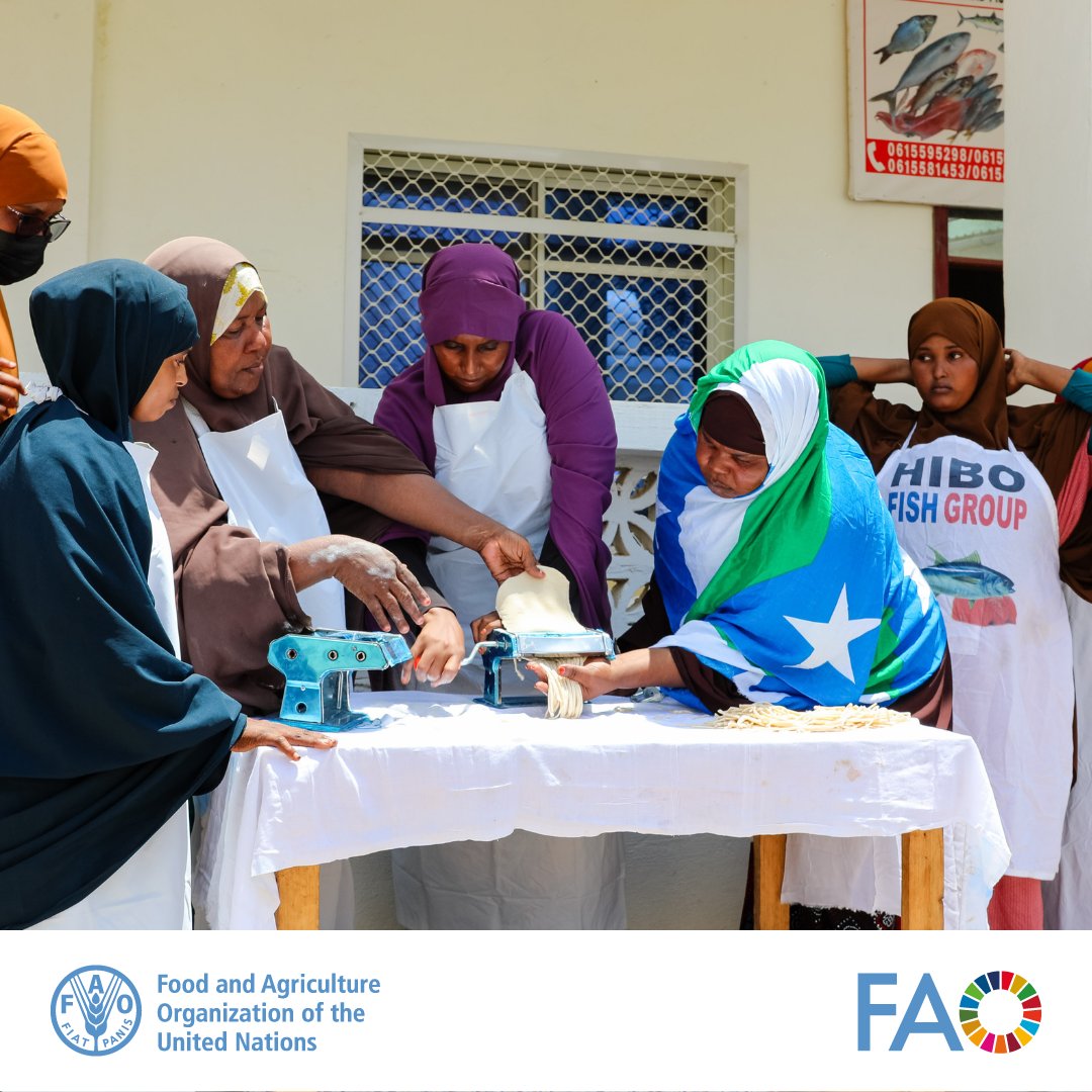 From access to finance to market linkages, @USAIDSomalia & @FAOSomalia's work with fishing cooperatives in Kismayo, #Somalia, is transforming livelihoods & building resilience against climate shocks. #RECOVER #ClimateAction ➡️ fao.org/somalia/news/d…