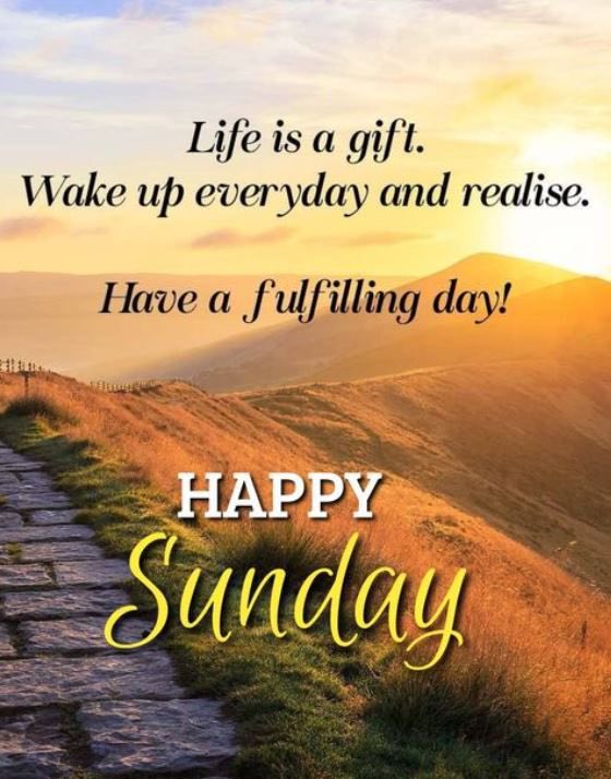 Good Morning Everyone #HappySunday hope you all have a Wonderful Day😊👍#StaySafe #Smile #BeHappy #LoveLife #BeGrateful #KeepOnSmiling #LiveLife #BePositive #Believe #BeNice #BeKind #HelpOthers #GoodKarma Always Remember #Positivity & #PMA the Only Way to Face each & everyday👊