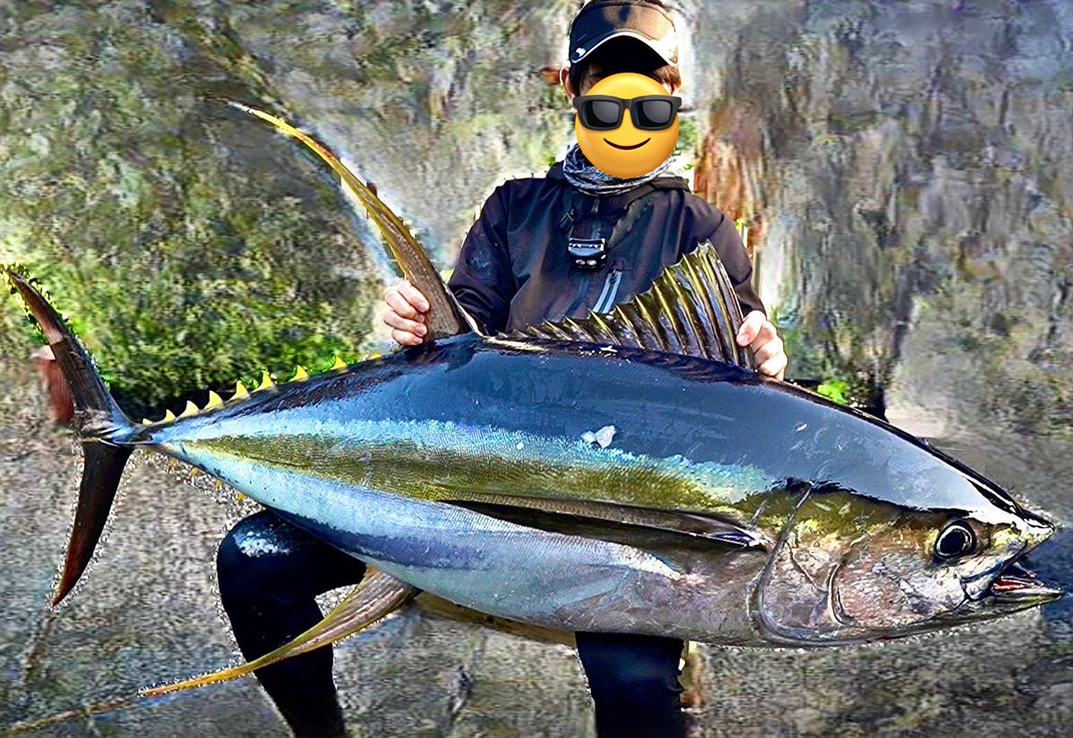 キハダマグロ60kg over!!! サイズアップのショアムーン🌙 色んなドラマ