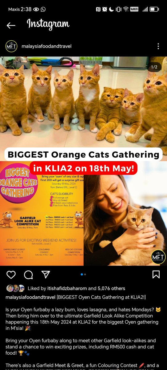 There is an Oyen cat gathering at KLIA2 this 18th May and there shall be chaos.

Source: instagram.com/p/C6iEi1rt6yX/…