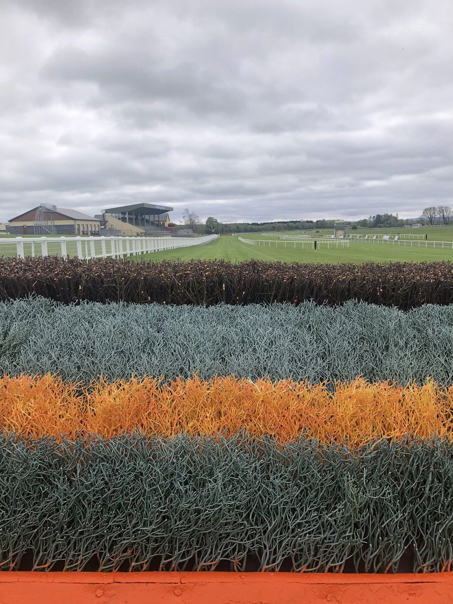 🌱 Going: Yielding to soft, soft in places following some drying yesterday. Forecast: generally dry up to and including racing however there is a possibility of some patchy rain/drizzle Sunday night. Hurdles/bumper on the inner loop. Chases on the outer loop