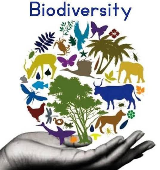 Our planet's biodiversity is at stake. The consequences of the climate crisis influence natural and essential ecosystem services and organism behaviors that our humanity depends on. #whathaschanged #Actfornature @CSDevNet1 @PACJA1