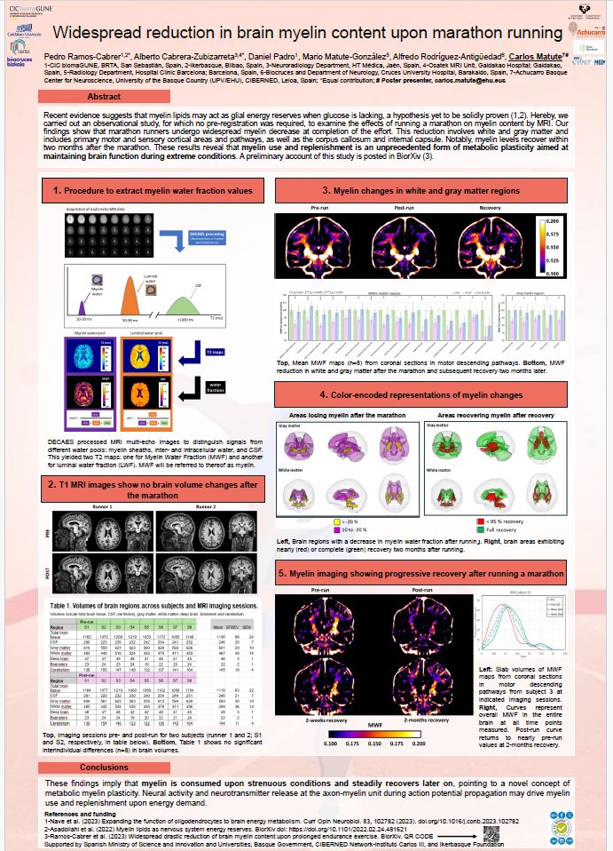 Presenting today <a href="/CellSymposia/">Cell Symposia</a> on Exercise Metabolism at Lisbon poster P1.21 "Widespread reduction in brain #myelin  upon #marathon running" <a href="/AchucarroGlia/">Ʌʗʜʋʗɑɼɼʘ</a> <a href="/CICbioGUNE/">CIC bioGUNE</a> <a href="/biobizkaia/">IIS Biobizkaia</a> <a href="/hospitalclinic/">Hospital Clínic</a> <a href="/upvehu/">UPV/EHU</a> @ciberned <a href="/CIBER_ISCIII/">CIBER ISCIII</a> Don´t miss it!