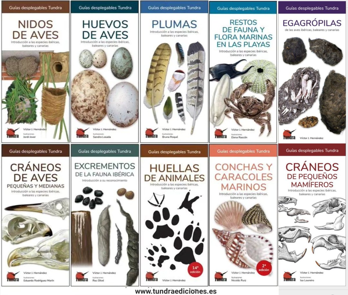 victorjhernandz's tweet photo. Descubrir la fauna salvaje a través de los indicios y rastros que las diferentes especies dejan en el campo. Todas estas herramientas a tu alcance, y más en preparación, en: https://t.co/plTqgqzXN2 https://t.co/WuYj0NPPUY