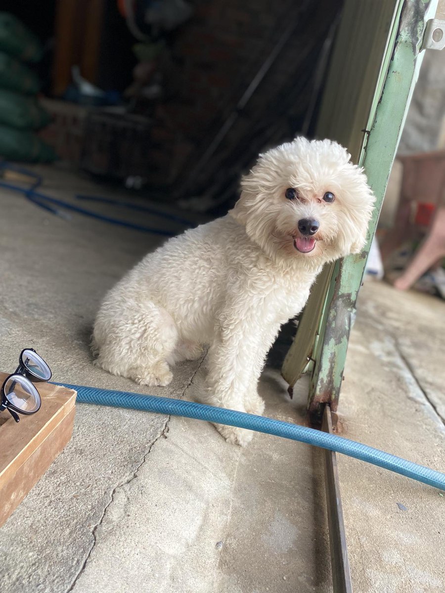 Nguyễn Chính Uy tweet media