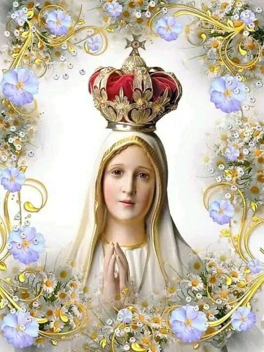 VctorHu82041913's tweet photo. Dios te salve, María, llena de gracia, el Señor es contigo. Bendita eres entre todas las mujeres y bendito es el fruto de tu vientre, Jesús.

Santa María, Madre de Dios, ruega por nosotros pecadores ahora y en la hora de nuestra muerte. Amén. https://t.co/CkHlnWd6wF
