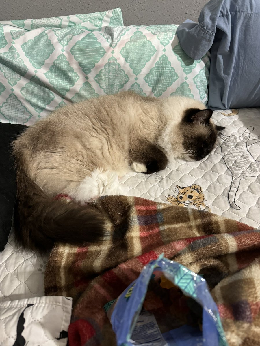 deximeruya's tweet image. #WashedTwitter