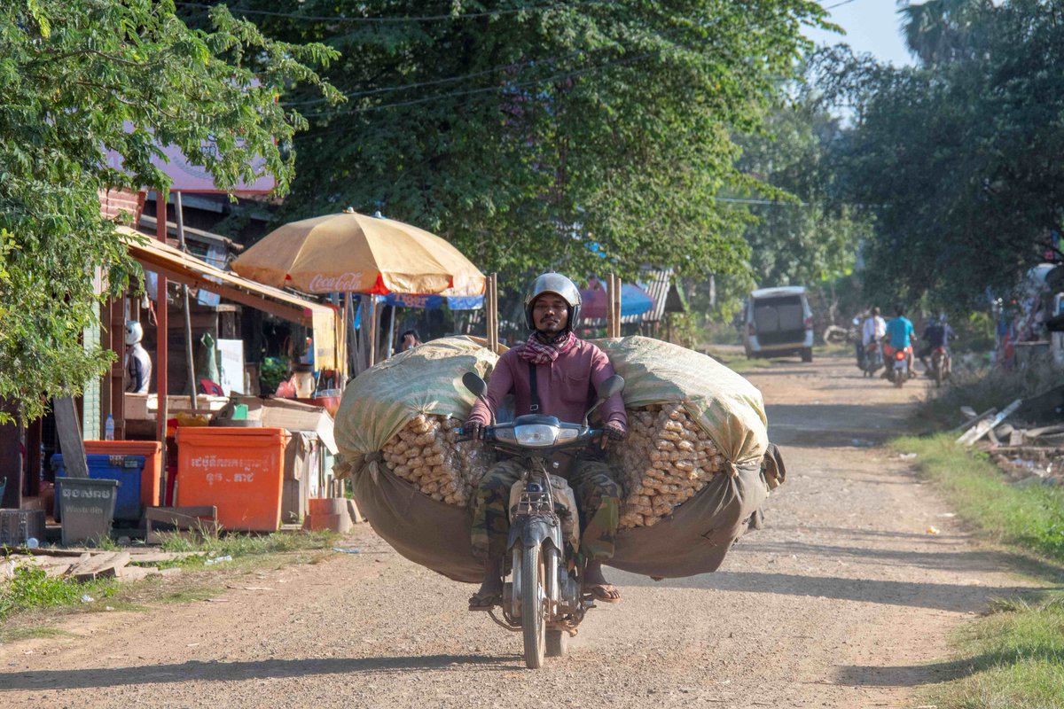 Just your usual delivery service in the Cambodian village.