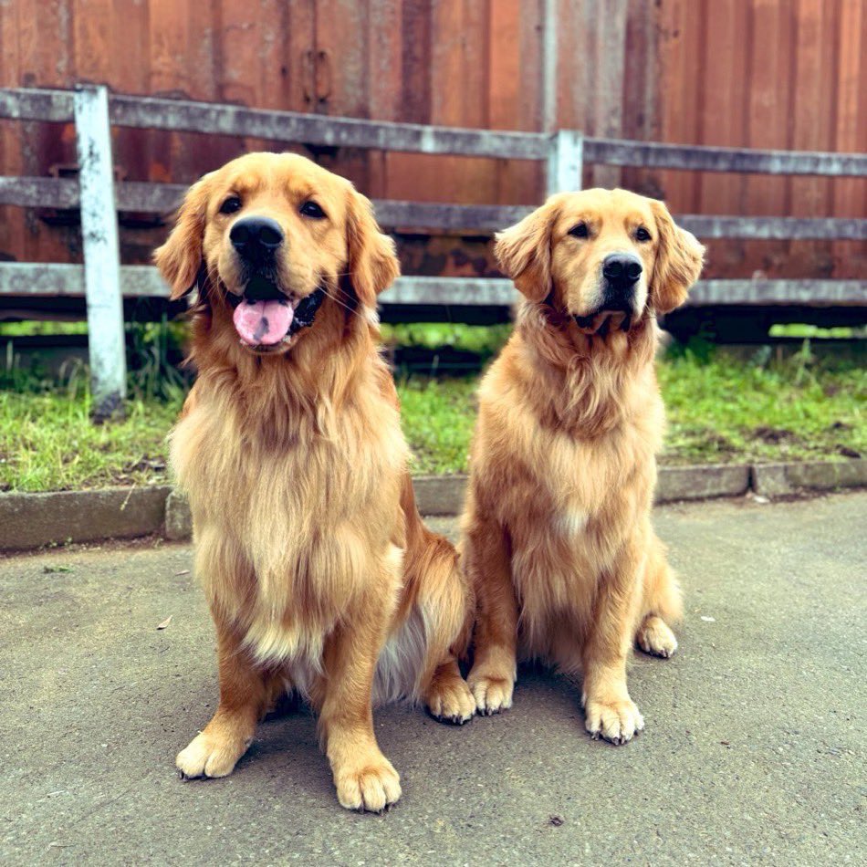 antihero_tbs's tweet photo. 🚨🐕リアタイのススメ🐕🚨

今夜よる9時から放送の第4話は
“新真実”や、未発表のキャスト登場など
アンチヒーローにとって重要な新情報が…。

SNSやWEBニュースで知る前に
リアタイで一緒に楽しみませんか？

アンチヒーロー好きのお友達やご家族と
集まってのご視聴もオススメ☝️

#アンチヒーロー https://t.co/zOC5bMGvj4