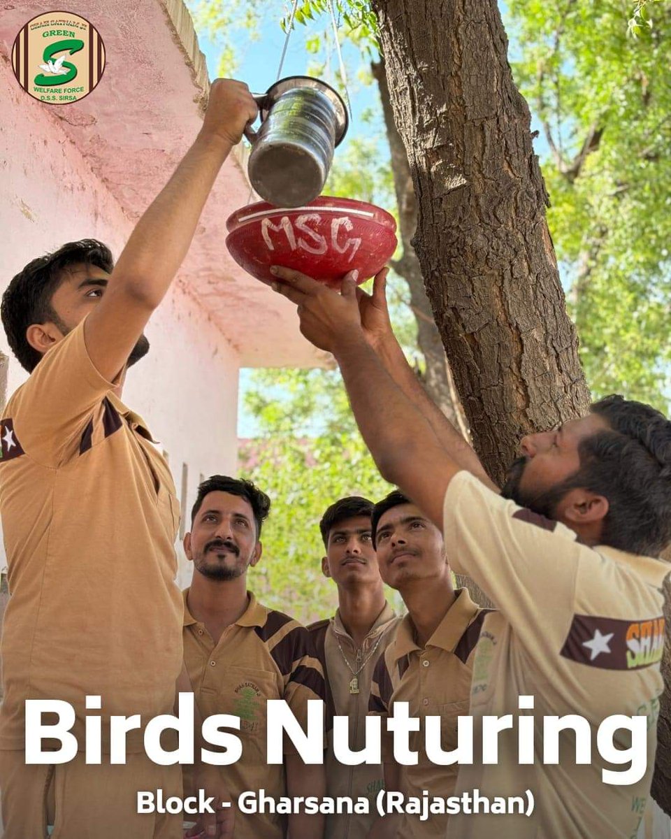 Extending a helping hand to our feathered friends in need!  Inspired by the teachings of Saint Ram Rahim Ji, DSS volunteers are providing water and feed for Save Birds. Let's adopt the habit of regularly keeping water and feed available for our avian companions.#BirdsNurturing