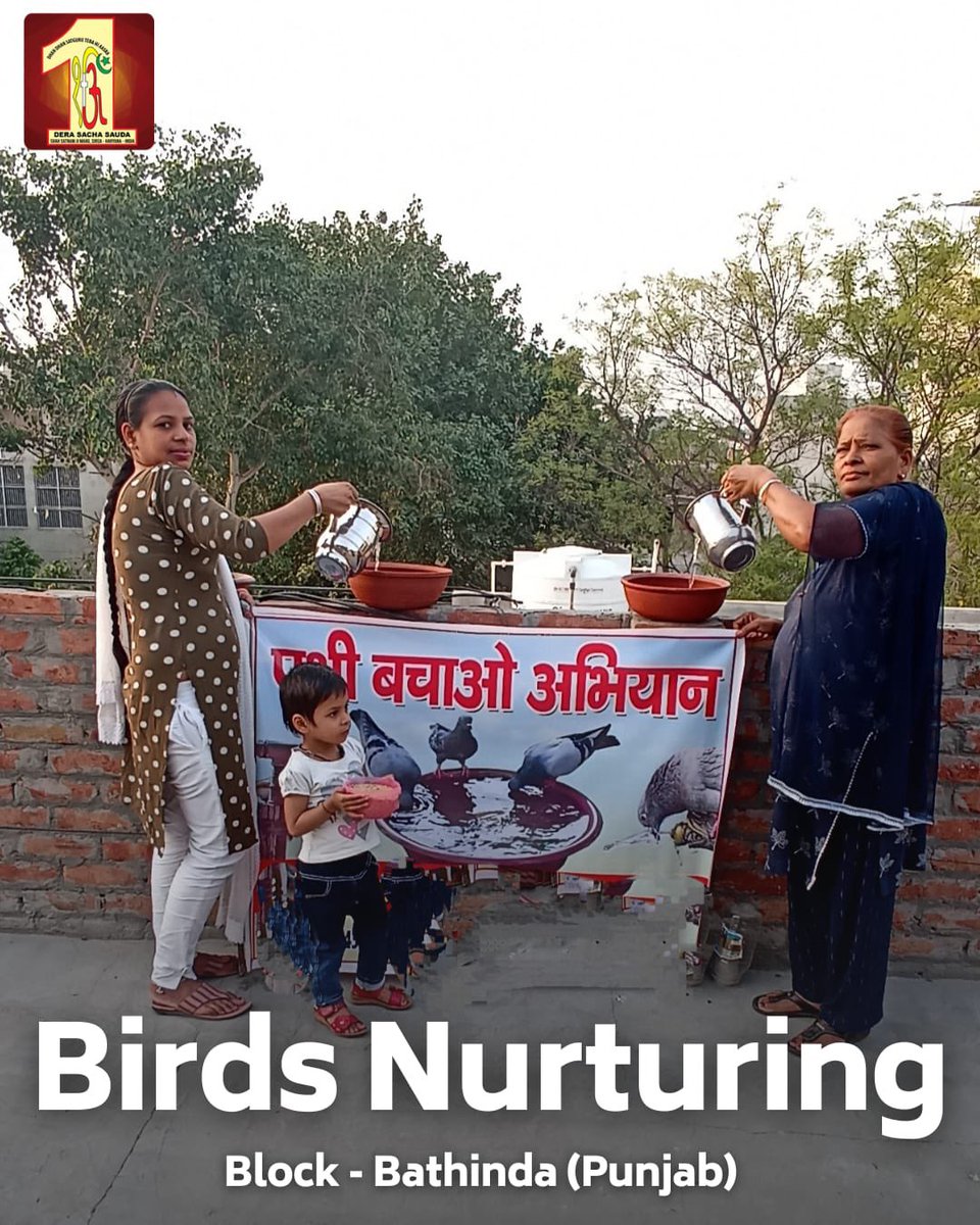 The beauty of nature is reflected in the symphony of birdsong. Let's take concrete steps to protect and nurture our avian friends. Join the #BirdsNurturing campaign led by Saint Ram Rahim Ji to provide a safe haven for birds and #SaveBirds.