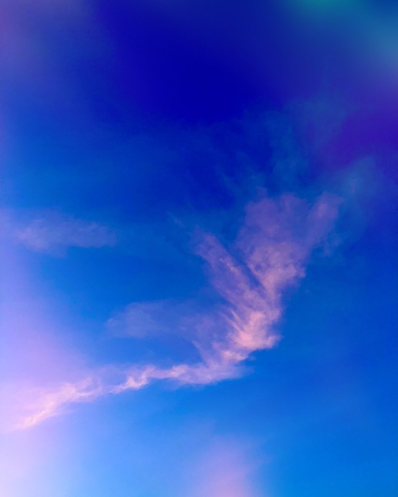 ataiga_0908's tweet image. Enjoying the tranquil beauty of the late spring sky tonight ☁️🌸

#latespring #springsky #sky #tranquilsky #beautifulsky #nature #naturalbeauty #skyphotography #clouds #springsunshine #springbreeze #communionwithnature #season #seasonalchanges #endofspring #farewelltospring