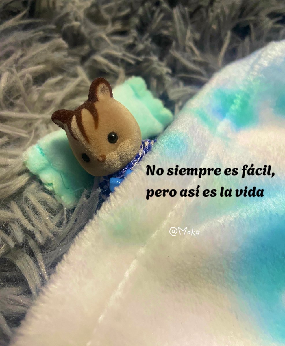 LauRa (@gcmlaura) on Twitter photo 