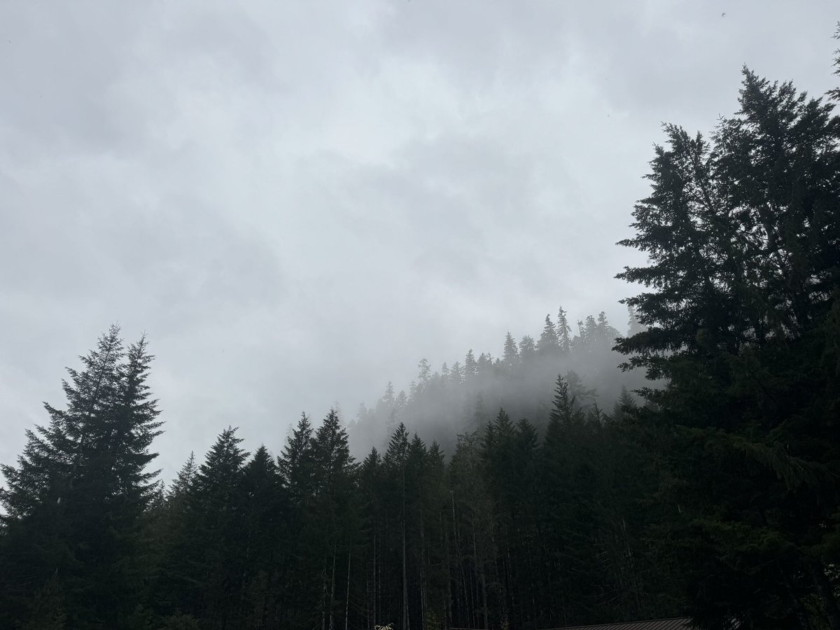 Jasmine Krause (she/her) tweet media