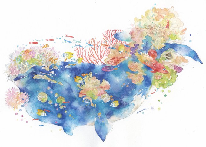「coral」 illustration images(Latest｜RT&Fav:50)