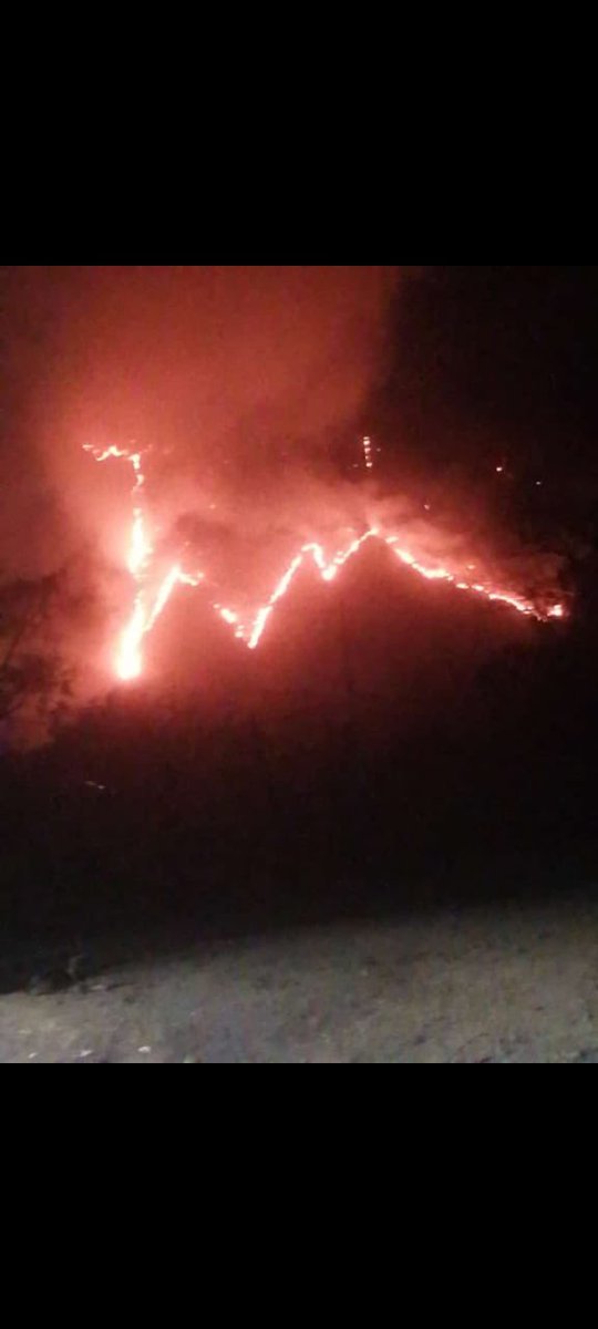 dianixma's tweet photo. URGE ayuda en el cerro del pueblo de Tumbisca municipio de Morelia, Michoacan. Hay un incendio que está muy cerca del poblado, urge ayuda @Ayuntam61455763 @PROFEPA_Mx  @conafor_mich1 @GobMichoacan @RevolucionNews @Quadratin_ @cb_television https://t.co/p4bsxN0sQy